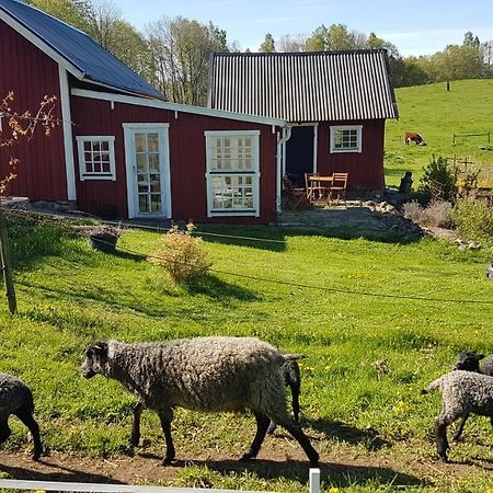 Sjoebacken Gard Bed & Breakfast Lerdala Exterior photo