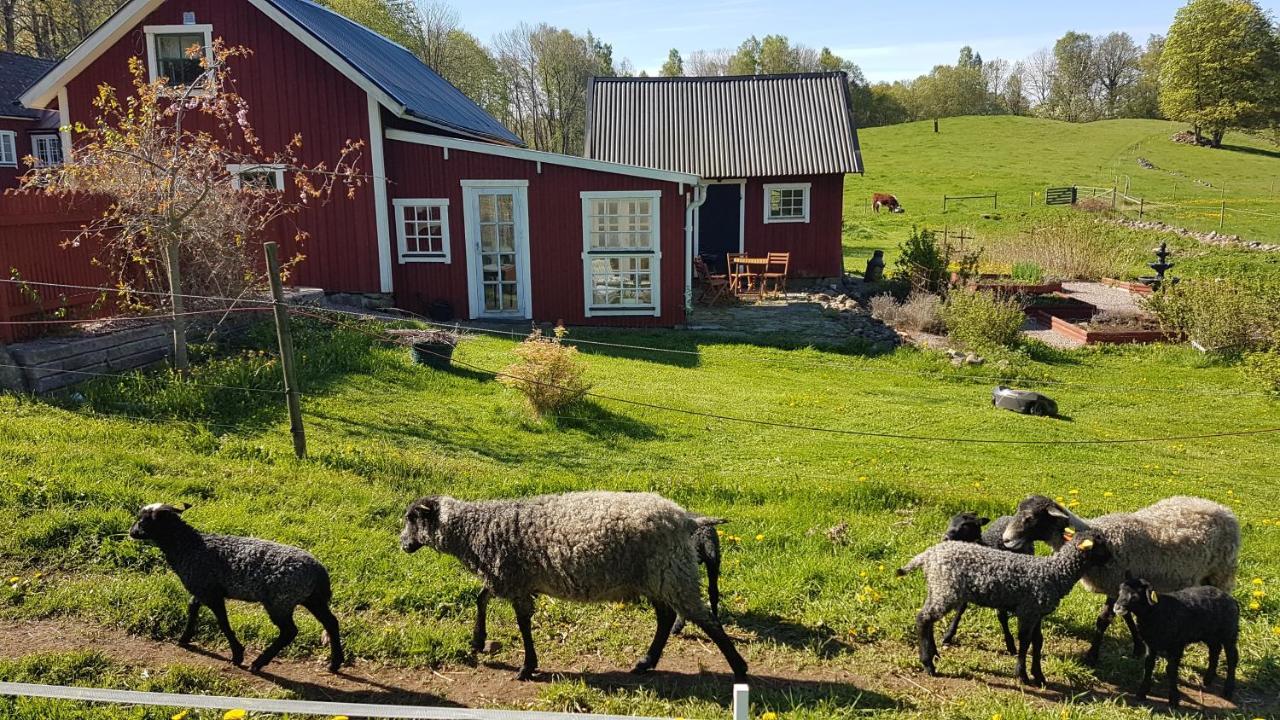 Sjoebacken Gard Bed & Breakfast Lerdala Exterior photo